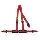 OMP ROAD 3 harnesses