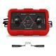 ZN AMPLIFIER INTREPID Female Nexus (IMSA)
