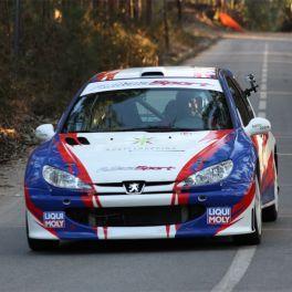 PEUGEOT 206 ogrevano vetrobransko steklo