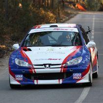PEUGEOT 206 ogrevano vetrobransko steklo