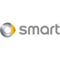 Smart